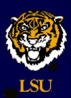 Zep-Pro IWD2BRW-LSU Louisiana State University Tigers Brown Debossed T